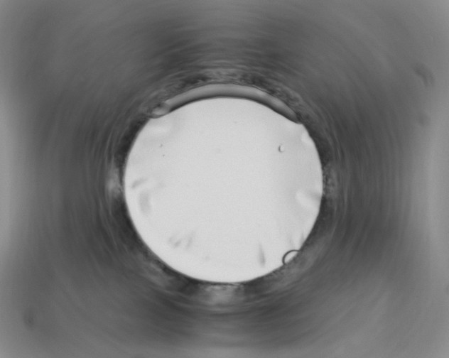 X0000112900089200910021443