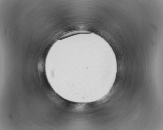 X0000112900090200910021443