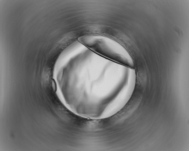 X0000112900092200910021443