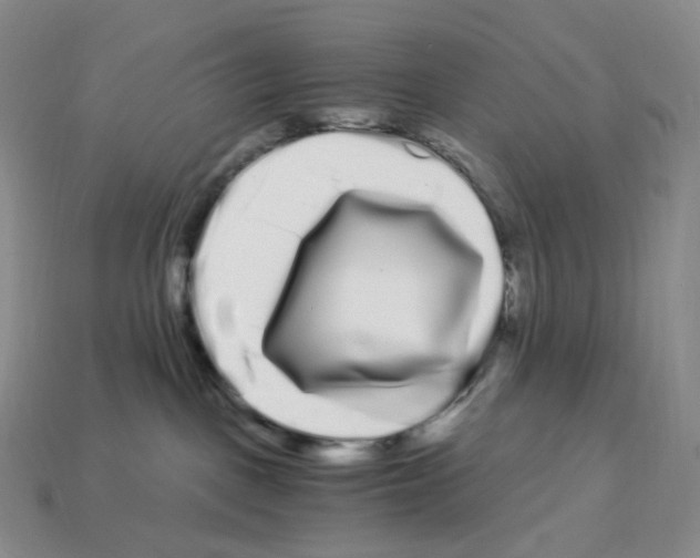 X0000112900093200910021443