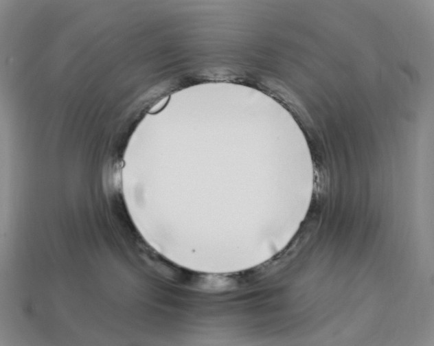 X0000112900095200910021443
