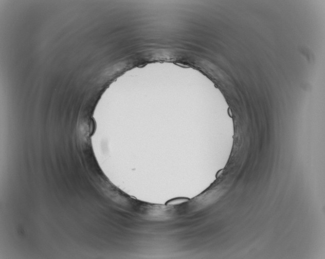 X0000112900096200910021443