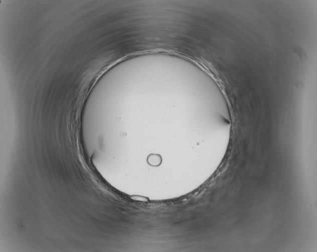 X0000112900097200910021443