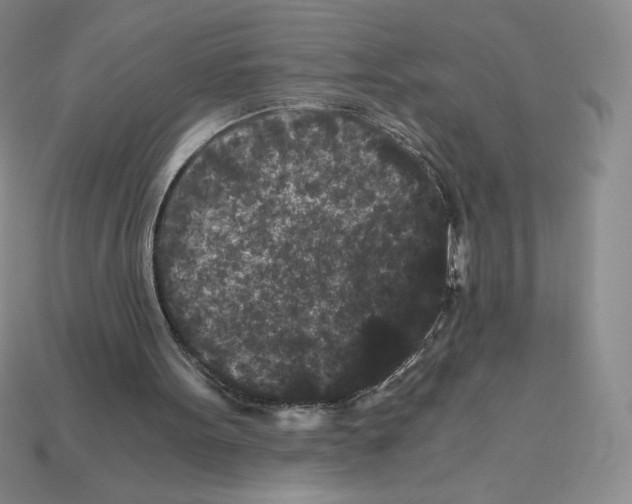 X0000112900099200910021442