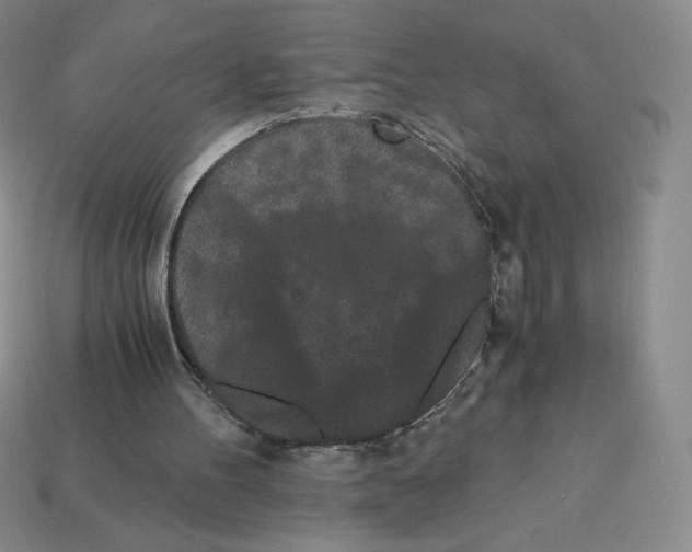 X0000112900100200910021442