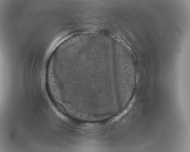 X0000112900101200910021442