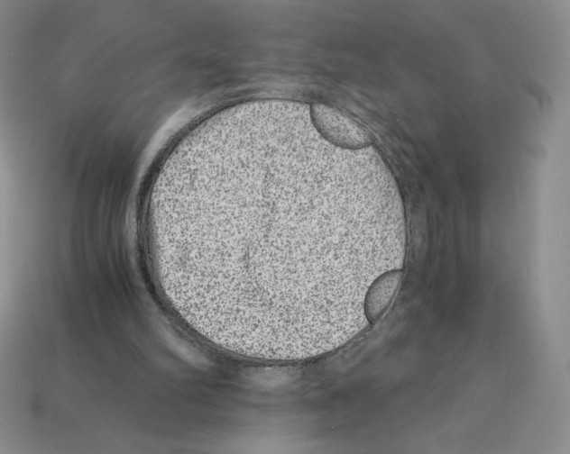 X0000112900102200910021442