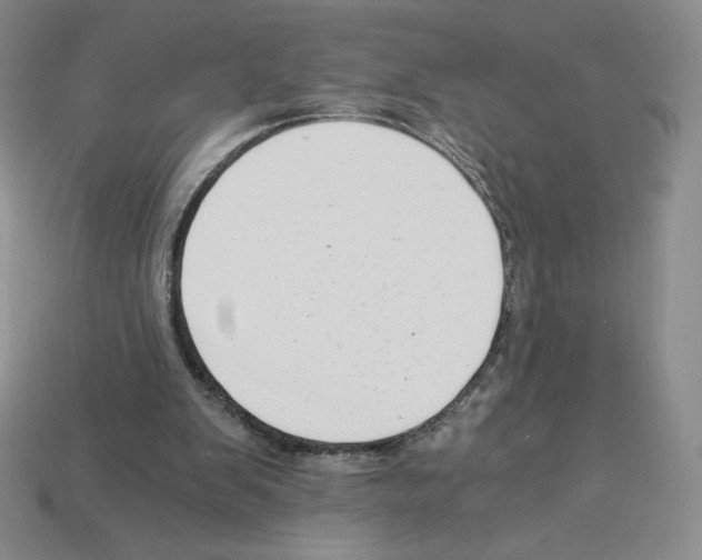 X0000112900103200910021442