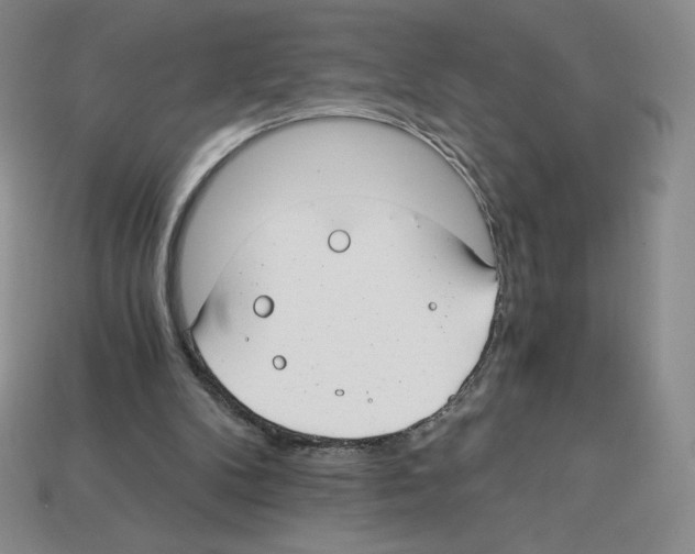 X0000112900104200910021442