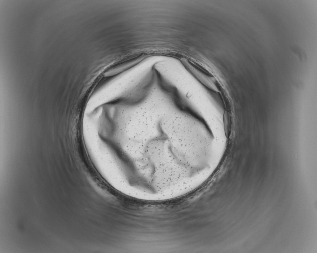 X0000112900105200910021442