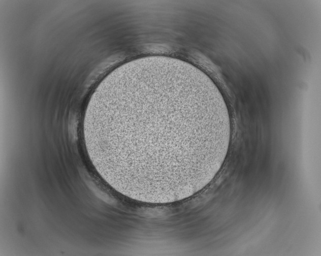 X0000112900106200910021442