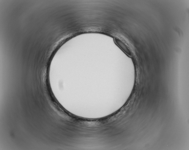 X0000112900107200910021442