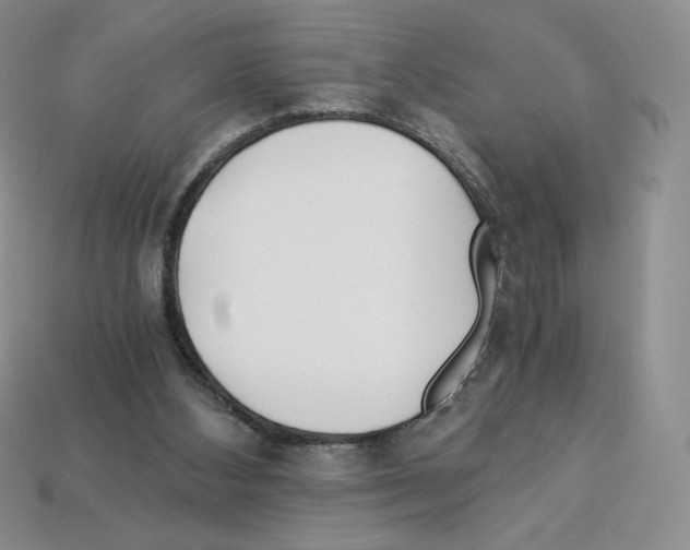 X0000112900108200910021442