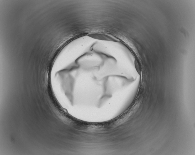 X0000112900109200910021442