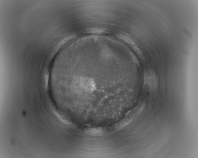 X0000112900110200910021442