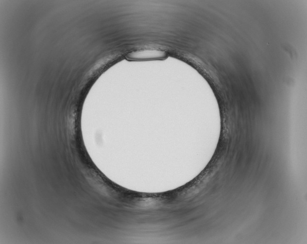 X0000112900111200910021442