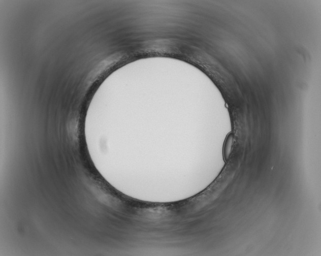 X0000112900112200910021442
