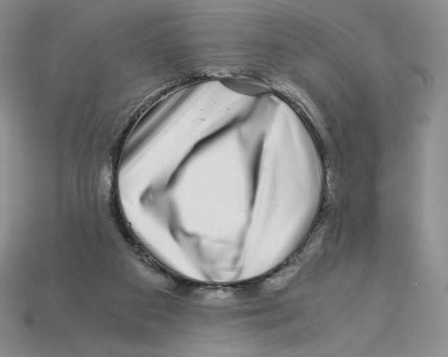 X0000112900113200910021442