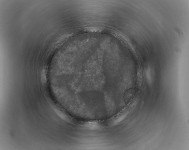X0000112900114200910021442
