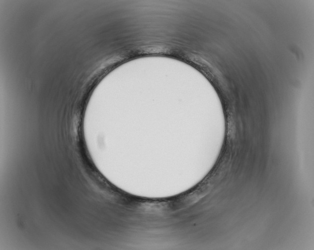 X0000112900115200910021442
