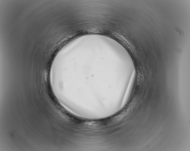 X0000112900117200910021442