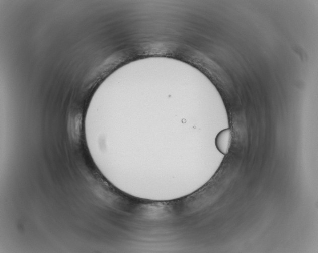 X0000112900118200910021442