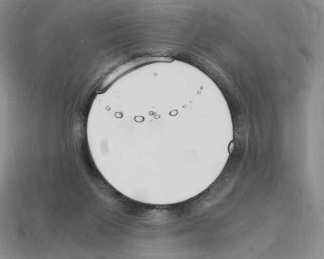 X0000112900119200910021442