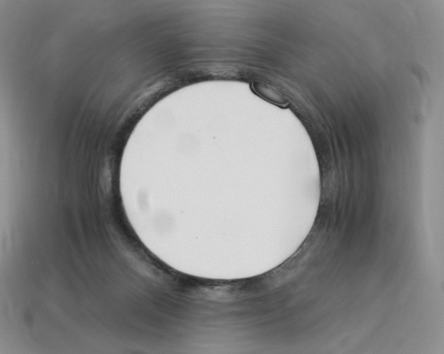 X0000112900120200910021442