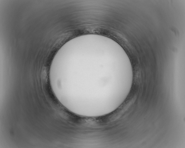 X0000112900121200910021442