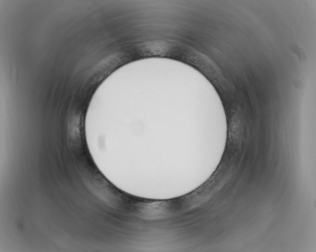 X0000112900122200910021442