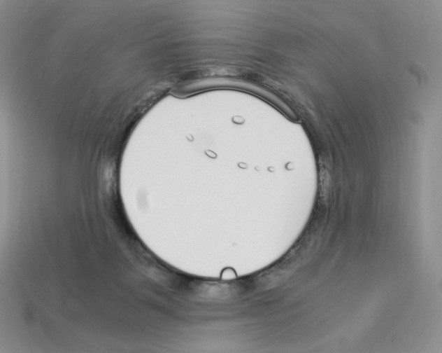 X0000112900123200910021442