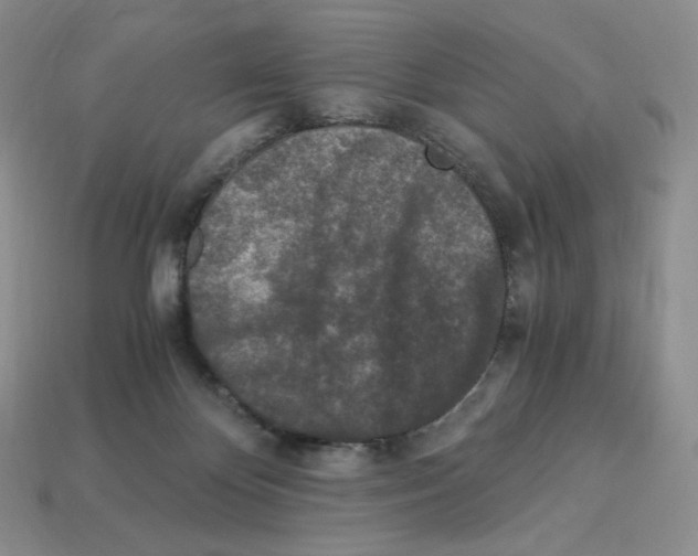 X0000112900124200910021442
