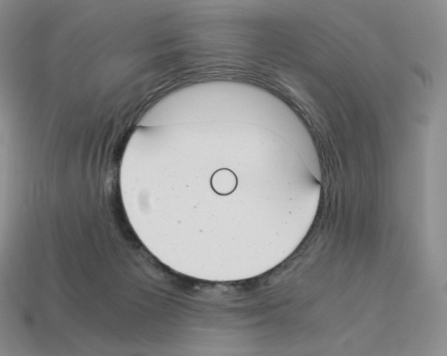 X0000112900125200910021442