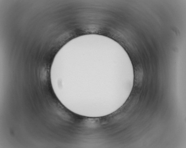X0000112900126200910021442