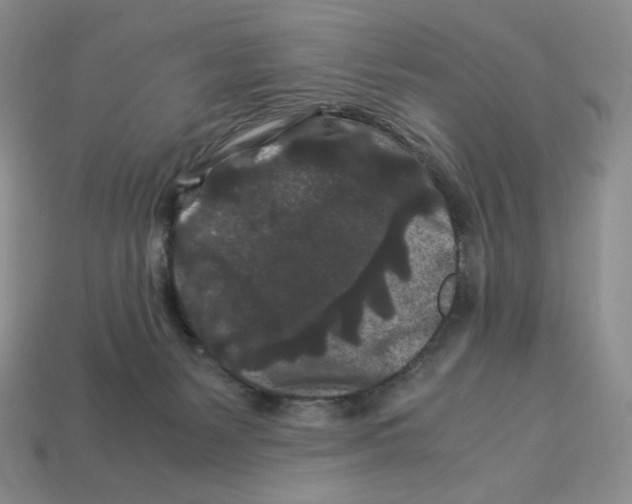 X0000112900127200910021442