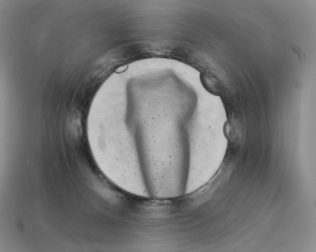 X0000112900128200910021442