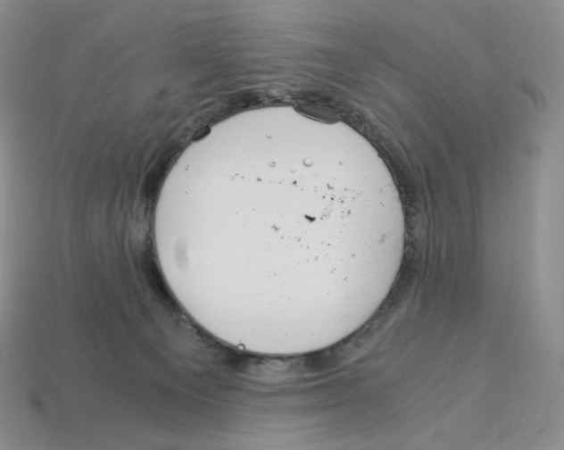 X0000112900129200910021442