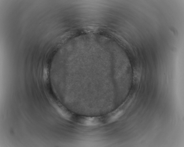 X0000112900130200910021442
