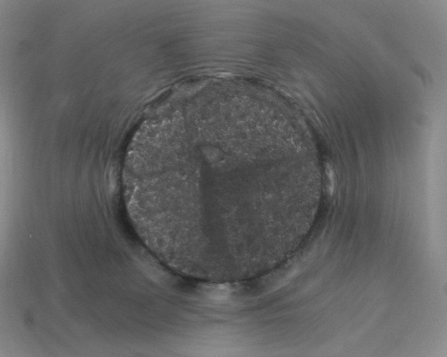 X0000112900131200910021442