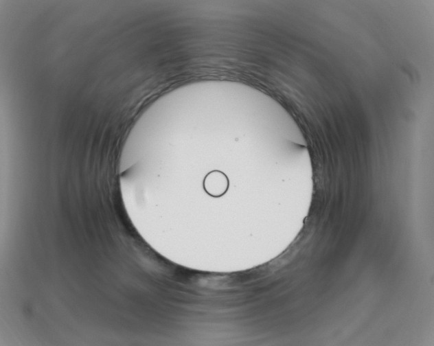 X0000112900132200910021442