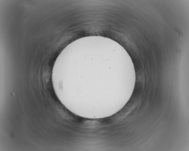 X0000112900133200910021442