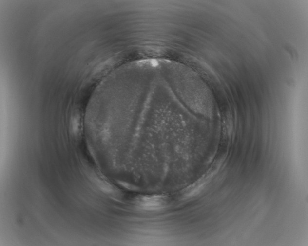 X0000112900134200910021442