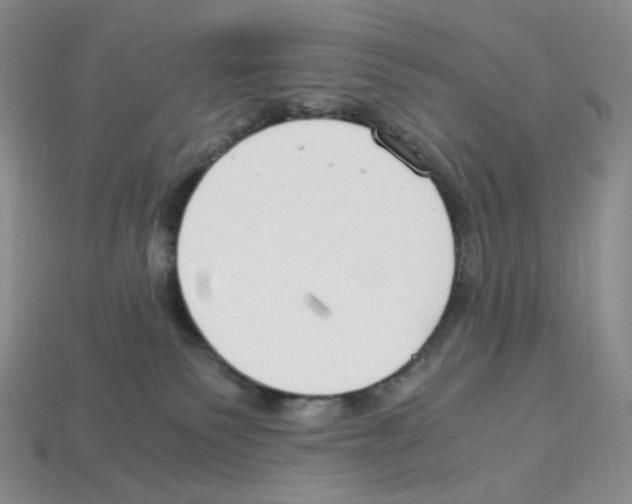 X0000112900135200910021442
