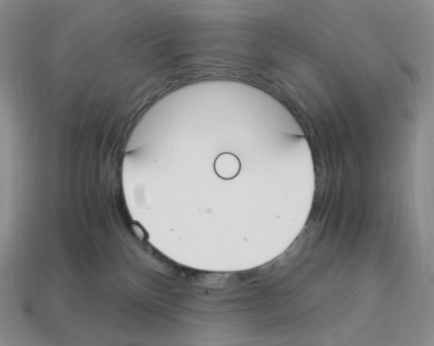 X0000112900136200910021442