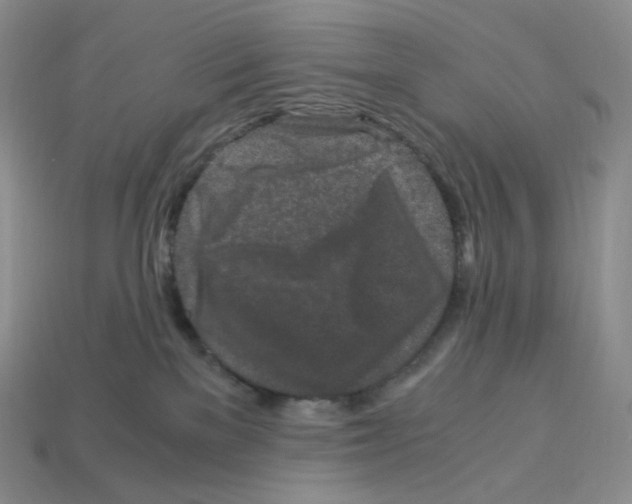 X0000112900137200910021442