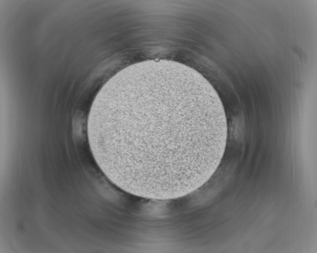 X0000112900138200910021442