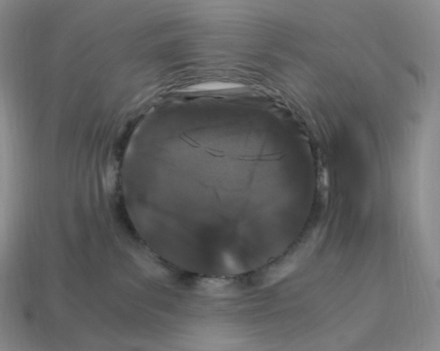 X0000112900139200910021442