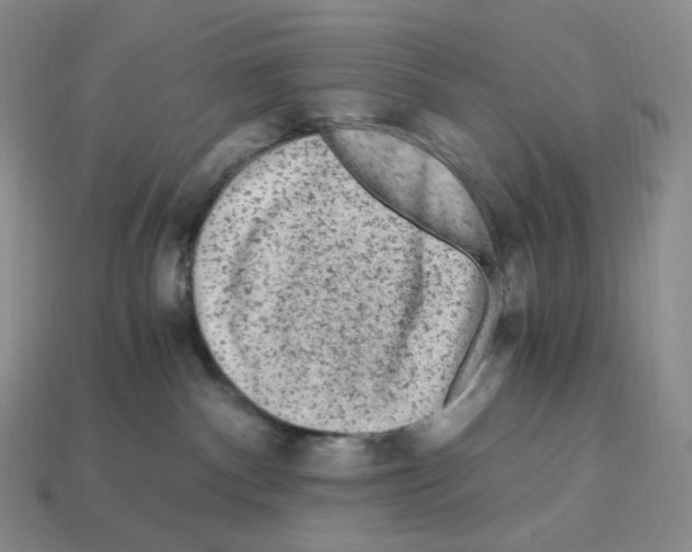 X0000112900140200910021442