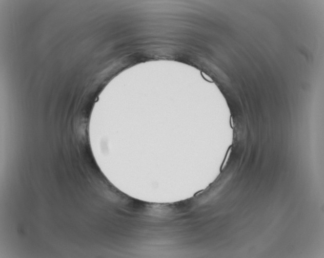 X0000112900141200910021442