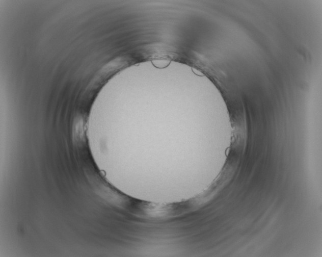 X0000112900142200910021442